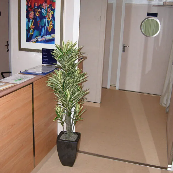 MEDICAL-CENTERS-11-SL90-VYNIL.jpg
